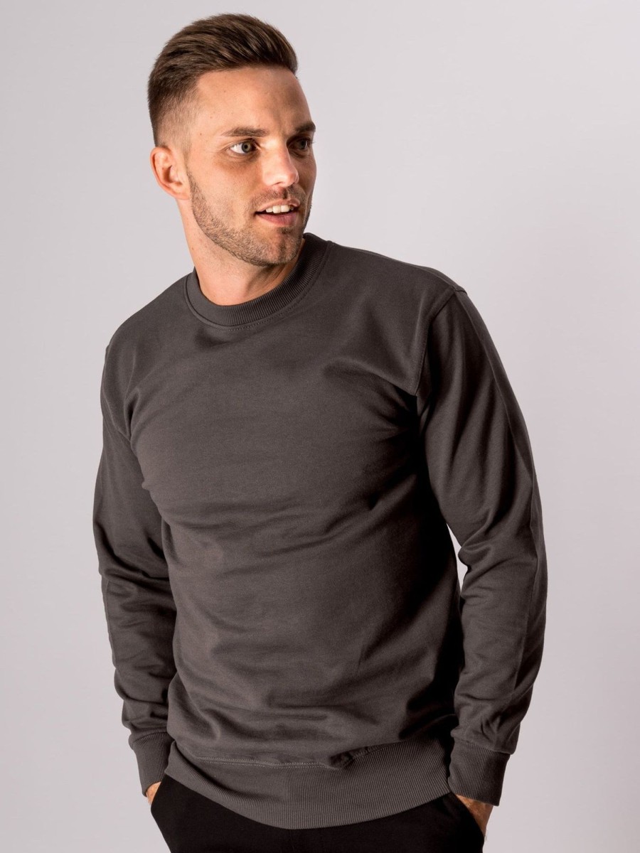 Herre TeeShoppen Trojer | Basic Crewneck - Morkegra